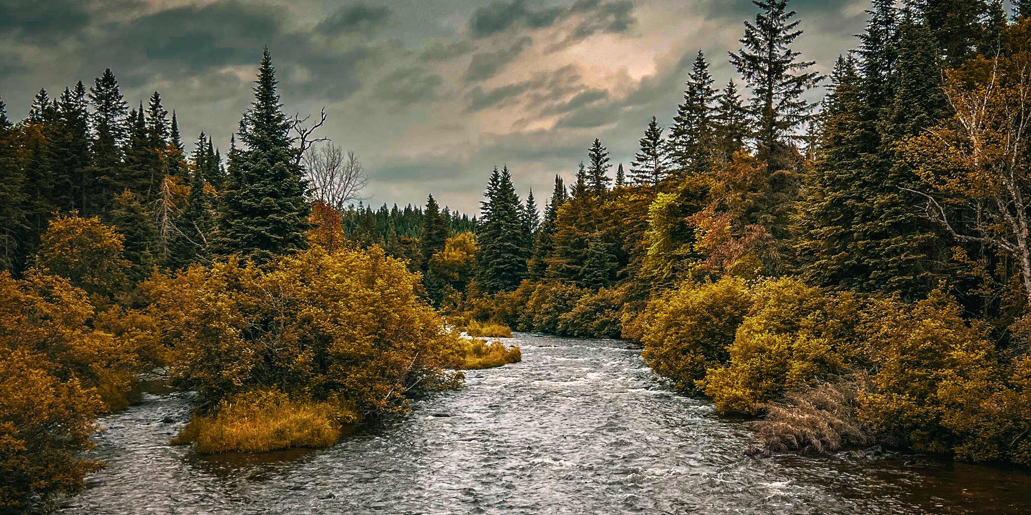 Cohos Trail Day Three