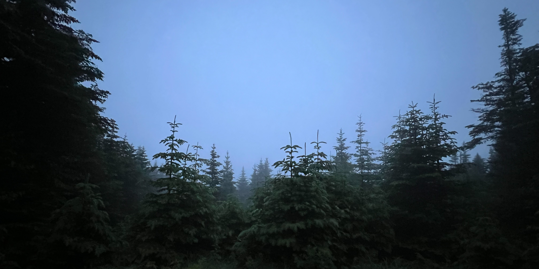 Cohos Trail Day Five