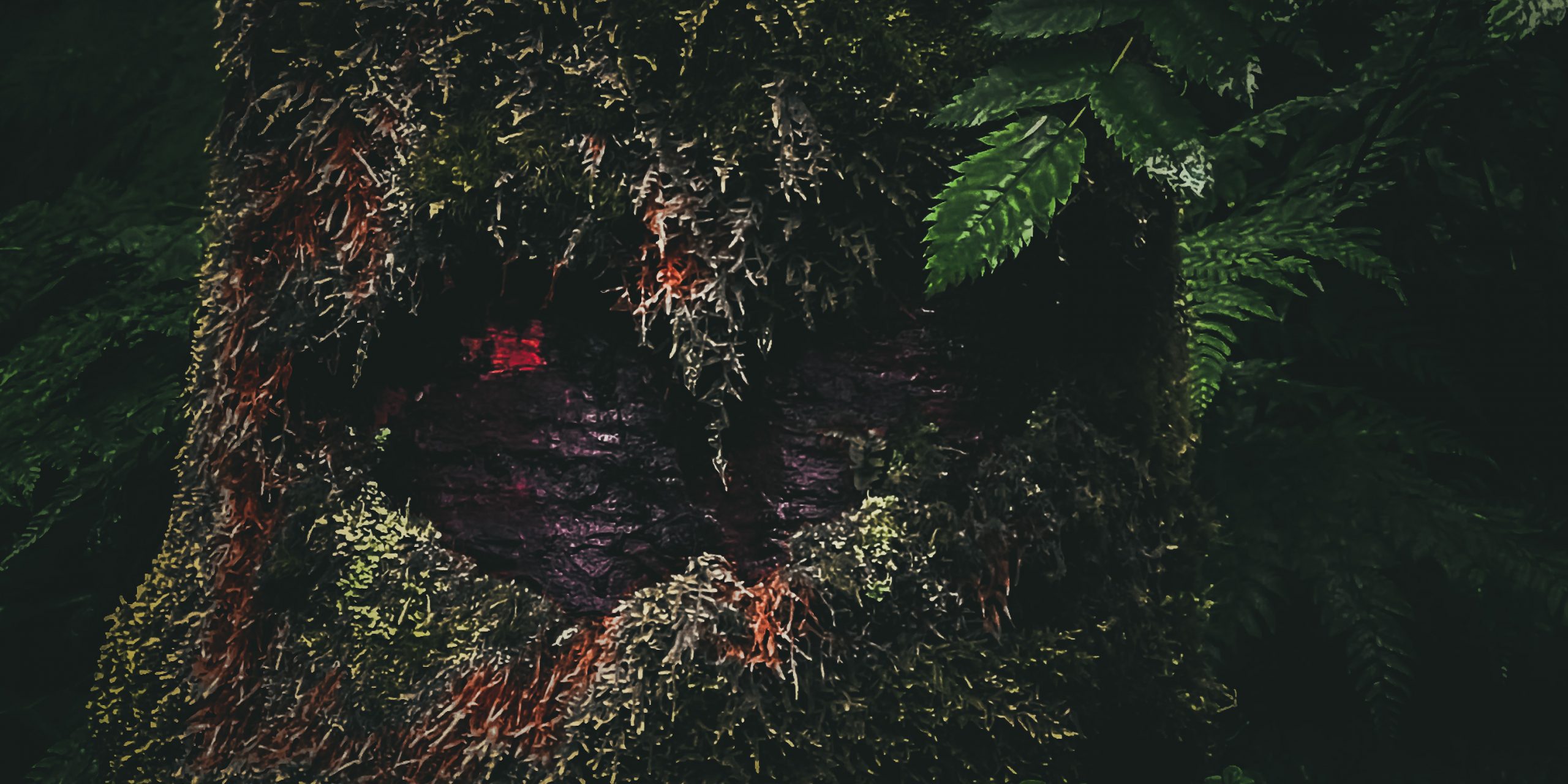 Cohos Trail Day Eight