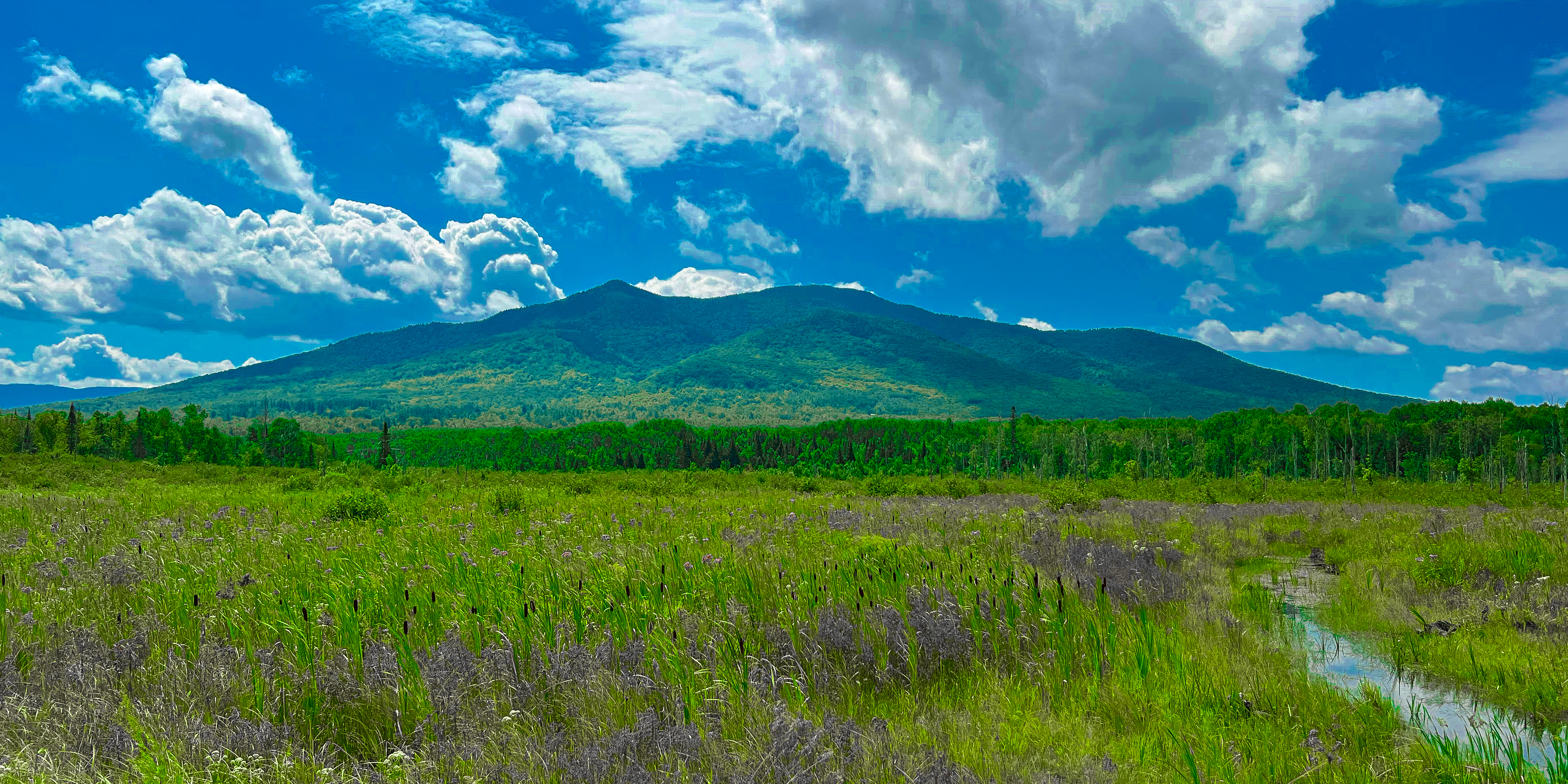 Cohos Trail Day Nine