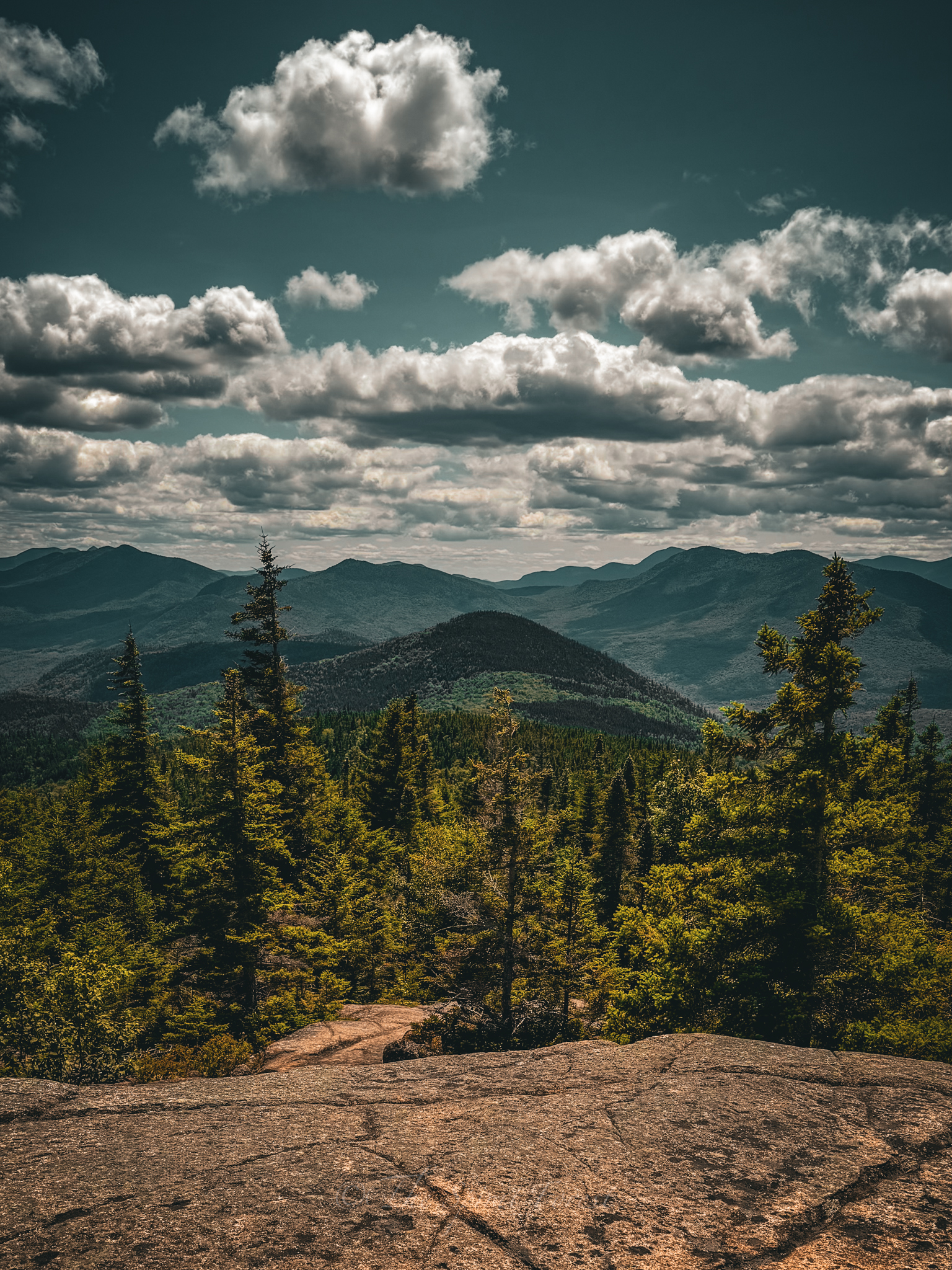 Along The Davis Path