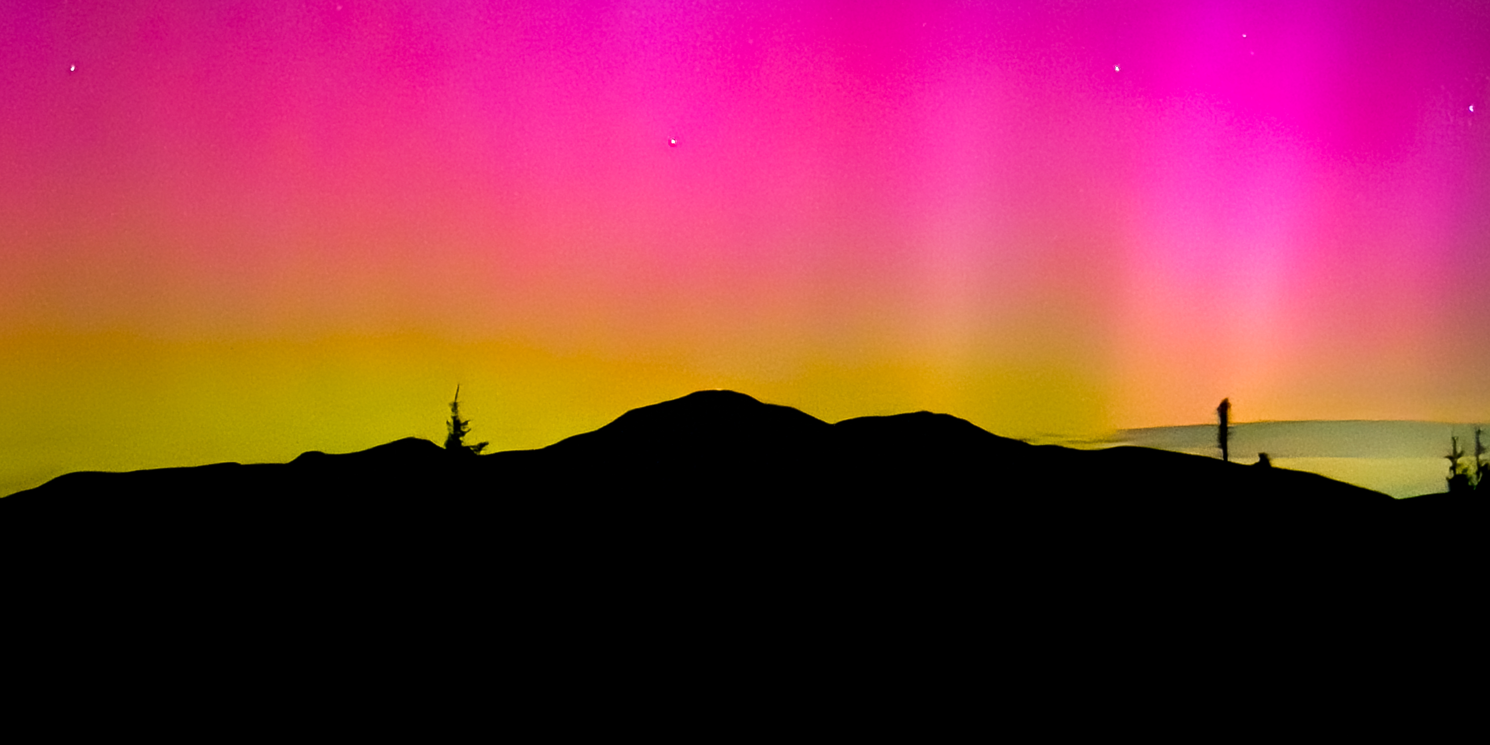 An Unexpected Surprise