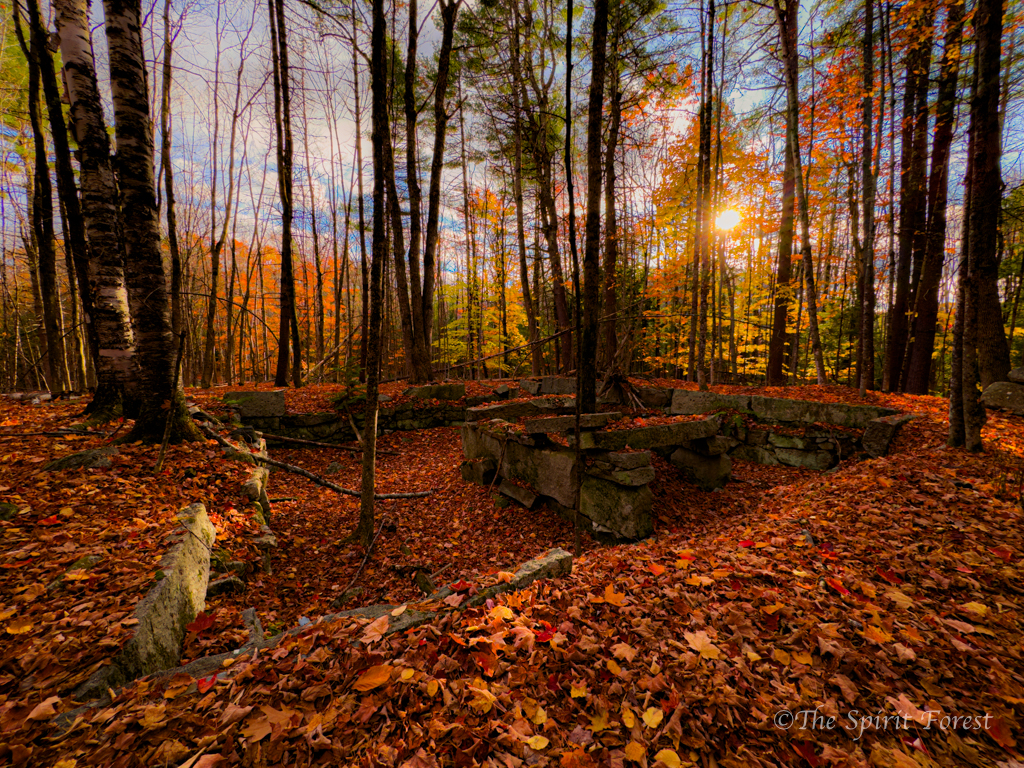 1800s homestead foundation